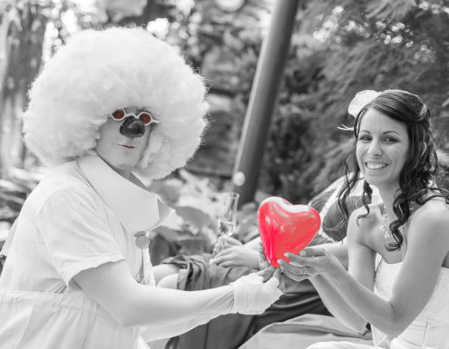 Hochzeitsfotografie - Europapark